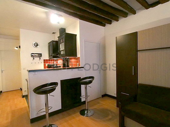Quiet living room furnished with 1 murphy bed(s) of 160cm, tv, dvd player, wardrobe