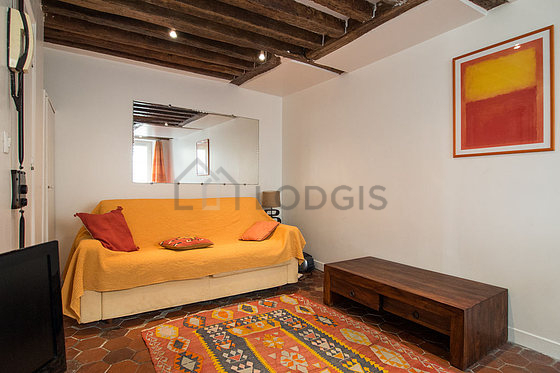 Living room furnished with 1 sofabed(s) of 140cm, tv, dvd player, cupboard