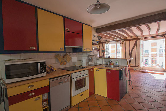 Kitchen where you can have dinner for 4 person(s) equipped with dishwasher, hob, refrigerator, extractor hood