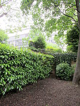 Apartamento París 15° - Jardín