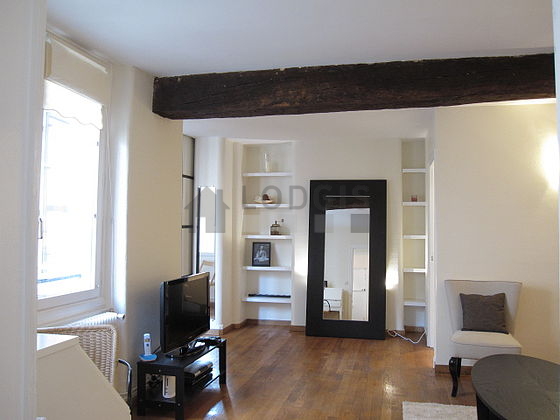 Quiet living room furnished with 1 sofabed(s) of 140cm, tv, dvd player, 1 armchair(s)