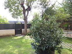 Apartamento Saint-Cloud - Jardín