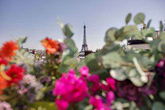 La Muette Paris 16° 1 bedroom Apartment