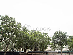 Apartamento Paris 5° - Salaõ