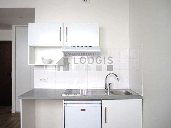 Kitchen equipped with hob, refrigerator, freezer, extractor hood