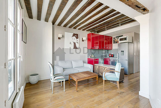Appartement Paris 1° - 