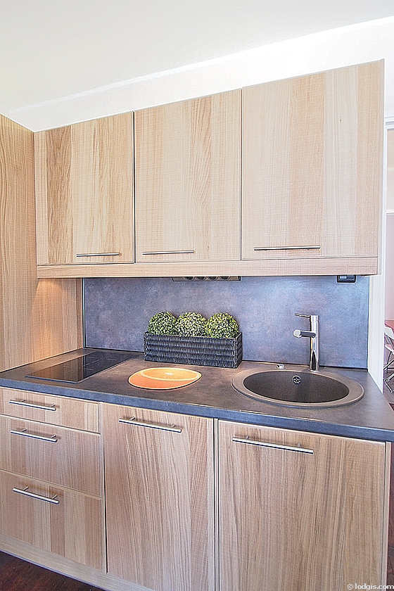 Cuisine équipée de lave vaisselle, plaques de cuisson, réfrigerateur, freezer