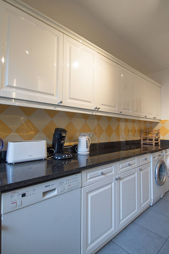 Kitchen equipped with washing machine, refrigerator, extractor hood, crockery