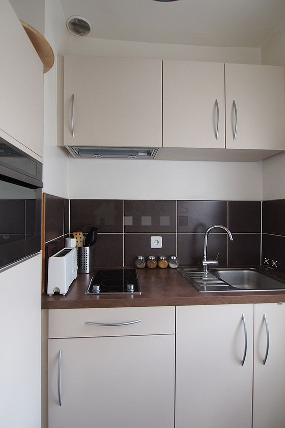 Cuisine équipée de plaques de cuisson, réfrigerateur, freezer, hotte