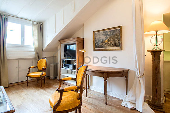 Great, very quiet and bright sitting room of an apartment in Paris