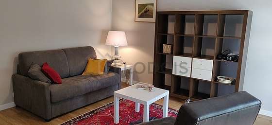Quiet living room furnished with 1 sofabed(s) of 140cm, tv, 1 armchair(s), 1 chair(s)