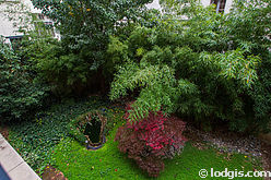 Appartement Paris 11° - Terrasse