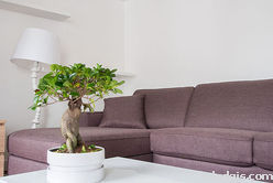 Apartamento París 7° - Salón