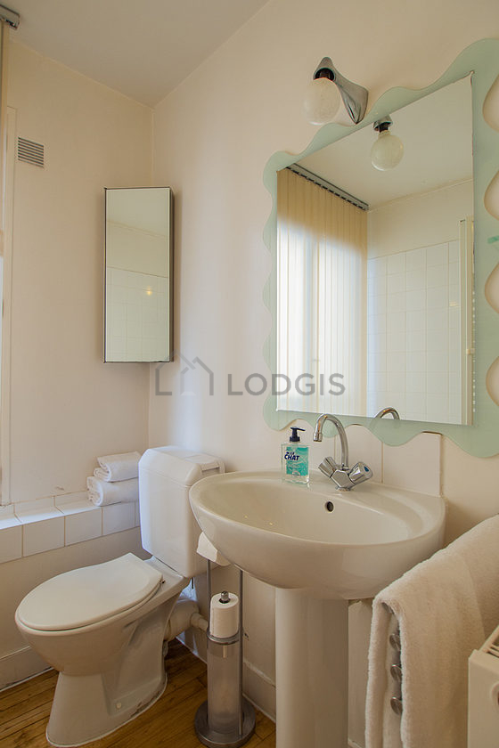 Beautiful and bright bathroom with windows and with wooden floor