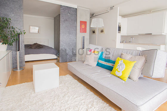 Beautiful, quiet and very bright sitting room of an apartment in Paris