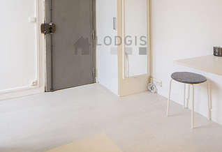 Louvre Paris 1° studio