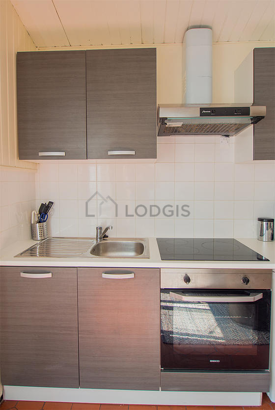 Kitchen equipped with hob, refrigerator, freezer, extractor hood