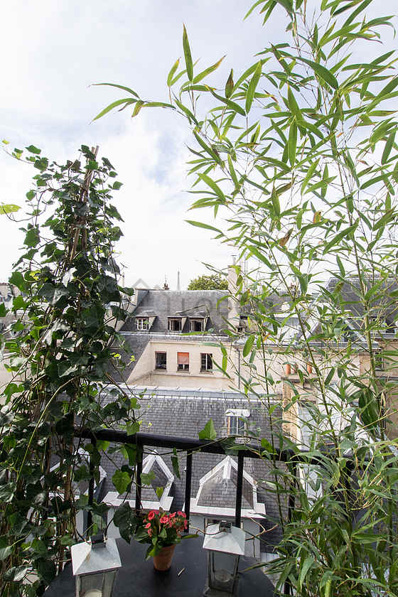 Magnifique séjour calme et lumineux d'un appartement à Paris