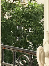 Apartamento Paris 11° - Quarto