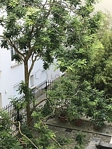 Apartamento Paris 11° - Salaõ