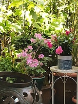 Wohnung Paris 11° - Eintritt