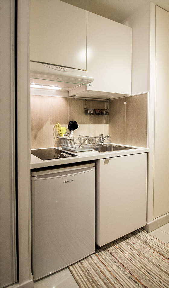 Kitchen equipped with hob, refrigerator, extractor hood, crockery