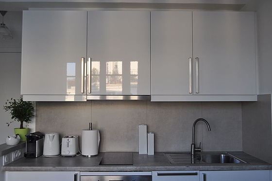 Kitchen equipped with hob, refrigerator, freezer, extractor hood