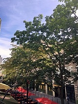 Apartamento París 1° - Salón