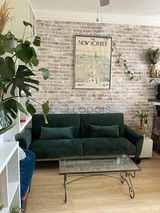 Appartement Paris 11° - Séjour