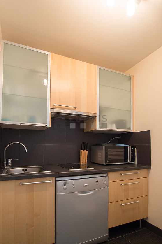 Kitchen equipped with dishwasher, hob, refrigerator, extractor hood