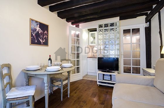 Magnifique séjour très calme et lumineux d'un appartement à Paris