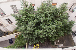 Wohnung Paris 9° - Schlafzimmer