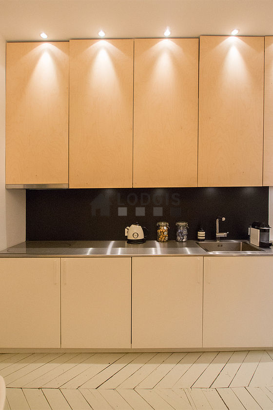 Kitchen equipped with washing machine, refrigerator, freezer, extractor hood