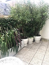 Appartement Paris 16° - Terrasse