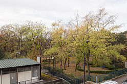 Wohnung Paris 15° - Wohnzimmer