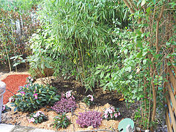 Appartement Neuilly-Sur-Seine - Terrasse