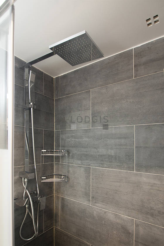 Bathroom equipped with washing machine, separate shower