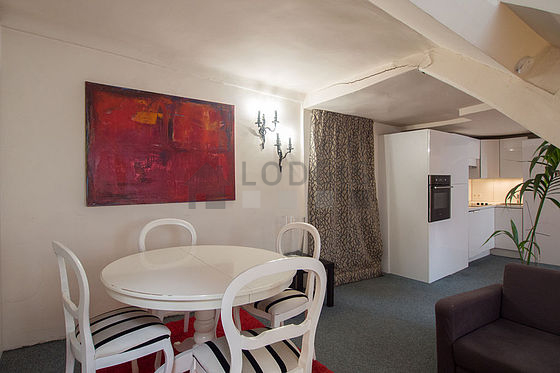 Beautiful, very quiet and bright sitting room of an apartment in Paris