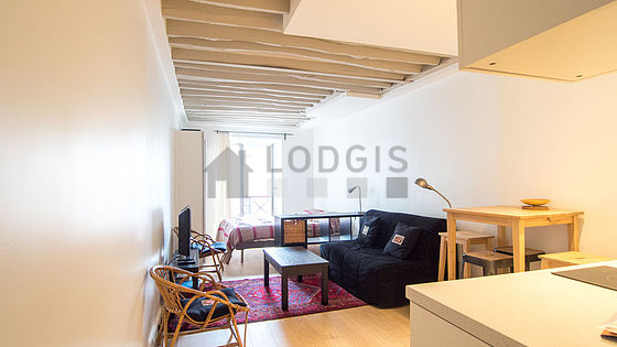 Magnifique séjour calme et lumineux d'un appartement à Paris