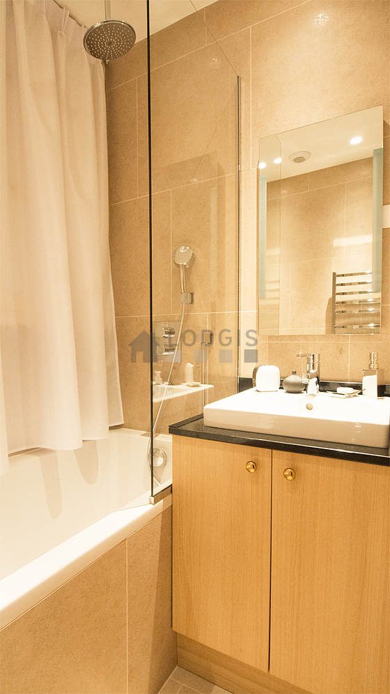 Salle de bain équipée de douche dans baignoire