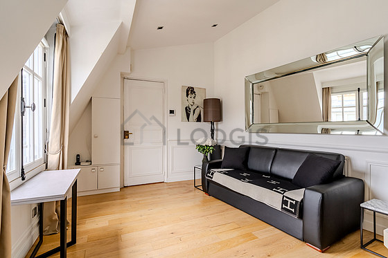 Magnifique séjour très calme et très lumineux d'un appartement à Paris