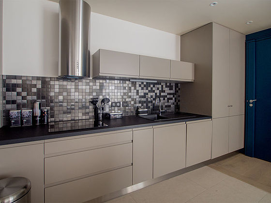 Kitchen where you can have dinner for 4 person(s) equipped with dishwasher, hob, refrigerator, extractor hood