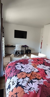 Appartement Paris 15° - Séjour