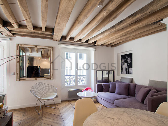Magnifique séjour très calme et lumineux d'un appartement à Paris