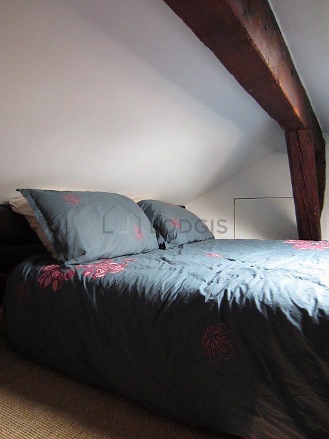 Appartement Paris 11° - 