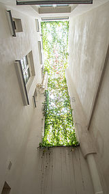 Apartamento París 4° - Terraza