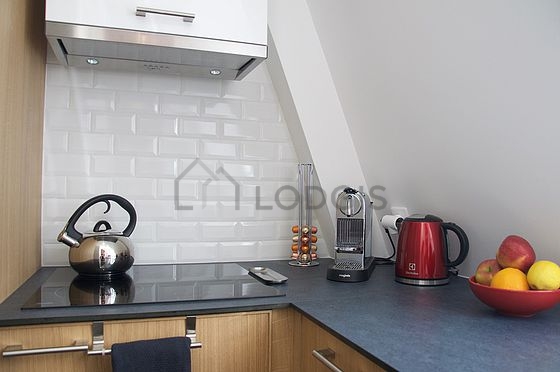 Kitchen equipped with dishwasher, hob, refrigerator, extractor hood