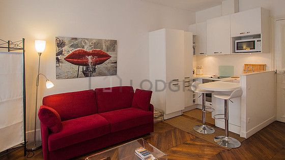 Beautiful, quiet and very bright sitting room of an apartment in Paris