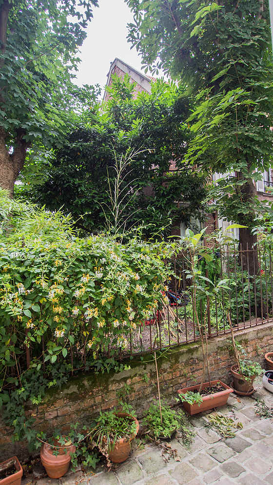Apartment Paris 5° - 