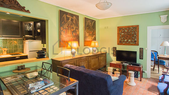 Magnifique séjour très calme et lumineux d'un appartement à Paris